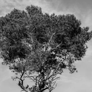 Sophie-Bourgeix-photographe-Clarte-12