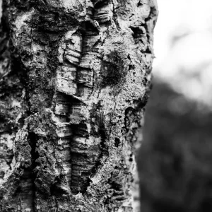 Sophie-Bourgeix-photographe-Clarte-13