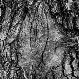 Sophie-Bourgeix-photographe-Clarte-4