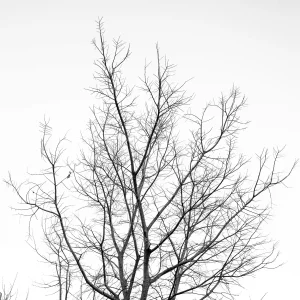 Sophie-Bourgeix-photographe-Clarte-7