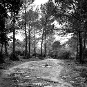 Sophie-Bourgeix-photographe-Clarte-9